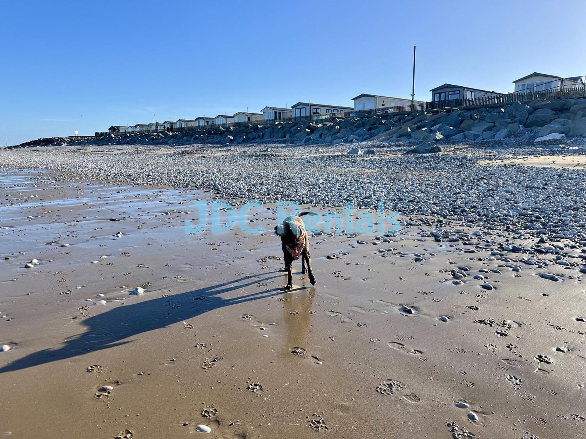 Campsite Golden Sands & Winkups *