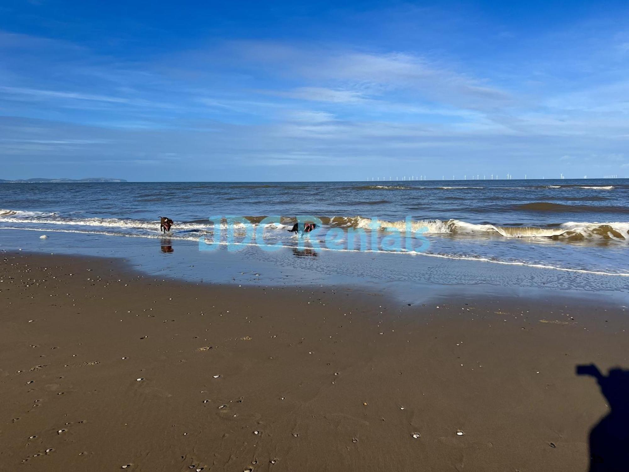 Golden Sands & Winkups *